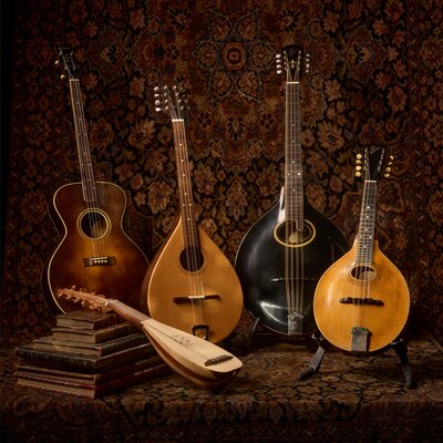 Traditional String Instruments